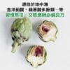 普頓 德國🔥【朝鮮薊+薑黃】朝鮮薊 薑黃 牛磺酸 維生素B群 七葉膽 調節生理機能 增強體力 男性保健食品