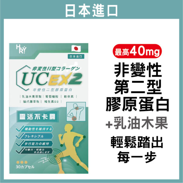非變性二型膠原蛋白 普頓 🔥日本 【 專利 UC2 40毫克 高含量 + 高效 葡萄糖胺 + 軟骨素】低溫萃取 非變性二型膠原蛋白 乳油木果